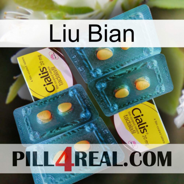 Liu Bian cialis5.jpg